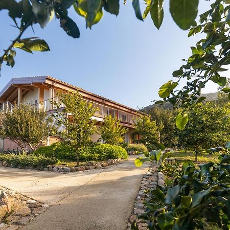 Domu Bresca Hotel Muravera Exterior photo